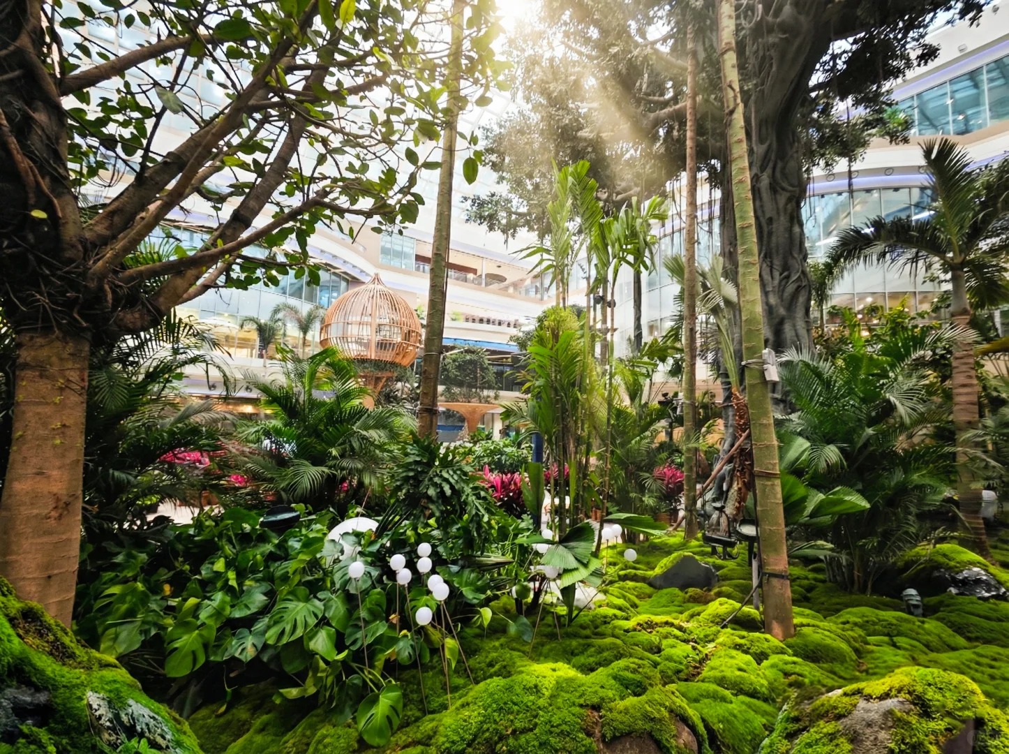 生命之森——长春万达茂雨林_2_景观设计小学徒厉工的杂货铺_来自小红书网页版 生命之森——长春万达茂雨林_2_景观设计小学徒厉工的杂货铺_来自小红书网页版.jpg